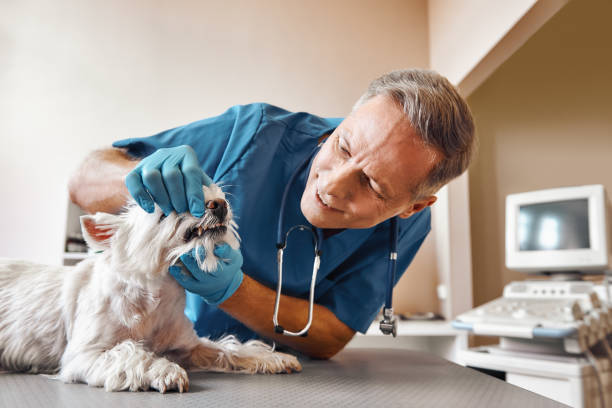 Best Emergency Broken Tooth Repair in Crewe, VA